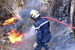 الحرائق تتلف 3 هكتارات من الغابات بالطارف