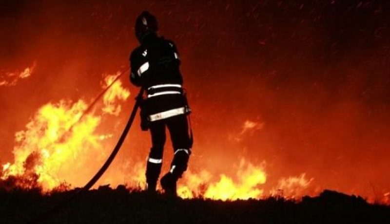 حريق يلتهم 3 هكتارات من الأشجار في برج بوعريريج