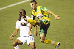 الكناري يطيح بالشلفاوة وفابرو ينقذ رأسه