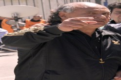 جمعية الشلف تواصل تحضيراتها في‮ ‬المغرب وبلحوت مرتاح