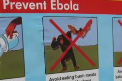 أكلة الخفافيش والقردة لترهيب الخضر أمام مالاوي