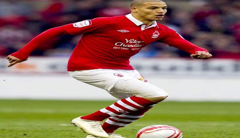 بريستول سيتي‮ ‬يدخل السباق مع نوتنغهام فورست من أجل ضم ڤديورة‮ ‬