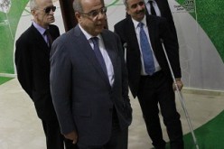 الوزير تهمي يهدد الأندية المتهاونة في تطبيق مشروع الاحتراف بإرجاعها إلى صيغة الهواة