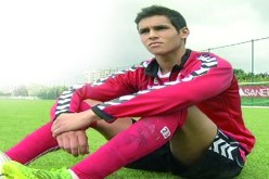 ماندي في التشكيلة المثالية للدوري الفرنسي إلى جـــانب إبرا وتياغو سيلفا