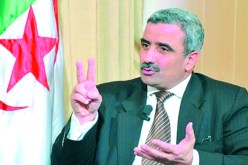 تهمي الخضر مطالبون بتحسين الأداء بعد الفوز الصعب أمام جنوب إفريقيا