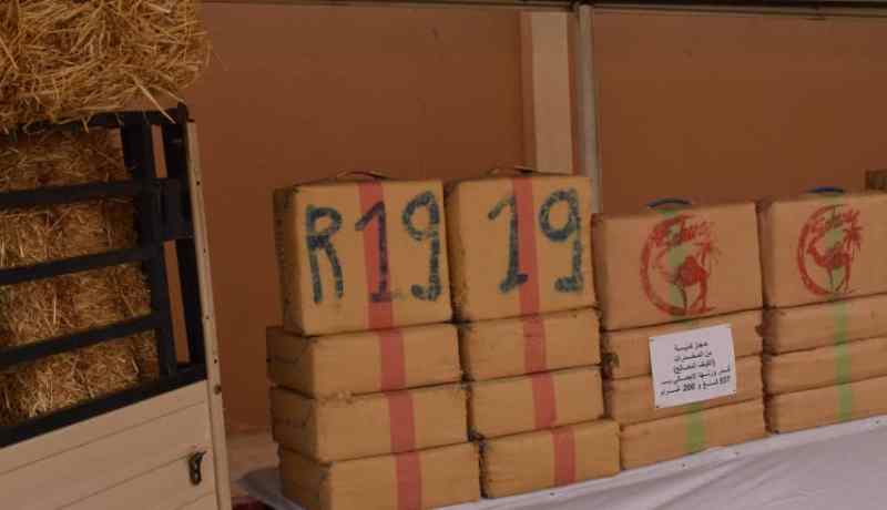 بشار: الإطاحة بشبكة لتهريب المخدرات وحجز أزيد من 5 قناطير كيف