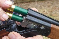 تسليم أزيد من 2050 بندقية صيد لأصحابها بتيبازة