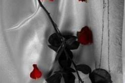 أخجل من تصرفاتي السابقة.. هل يغفر لي الله؟