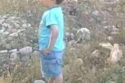 الجلفة.. حملة تمشيط واسعة للبحث عن الطفل المفقود “لخضر” بغابة تغرسان