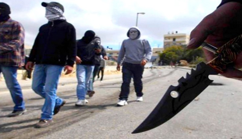 عصابة ملثمة تهاجم منزلا بالقنابل المسيلة للدموع في ششار بخنشلة