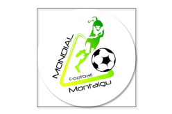 الفاف تكشف عن تأجيل مونديال “مونتياغو” 