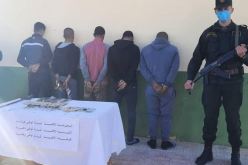 حجز 45 شتلة “قنب هندي” مغروسة داخل مستودع في غرداية!