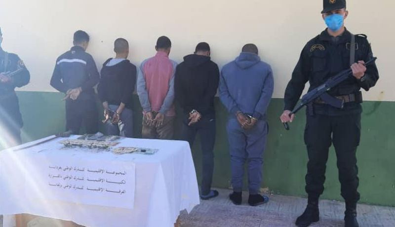 حجز 45 شتلة “قنب هندي” مغروسة داخل مستودع في غرداية!