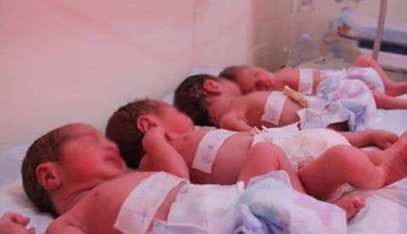 برج بوعريريج.. ولادة أربعة توائم في صحة جيدة
