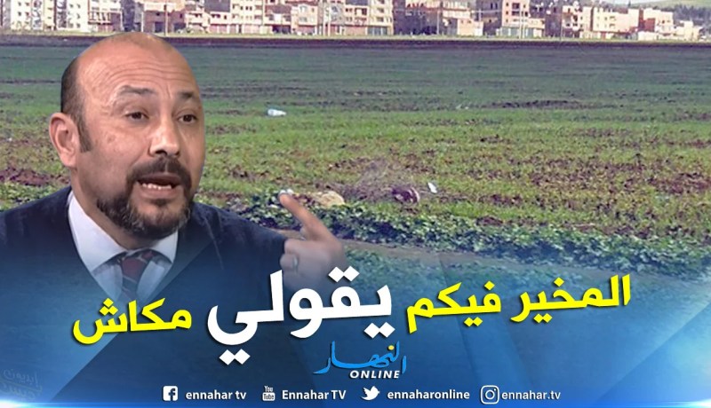 بن يمينة : “أتحدى أي مسؤول يقول ماكاش العقار في الجزائر”
