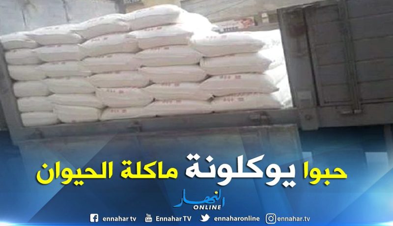 حجز أكثر من 1000 قنطار من ” الفرينة ” وتوقيف 4 أشخاص بفرندة بتيارت