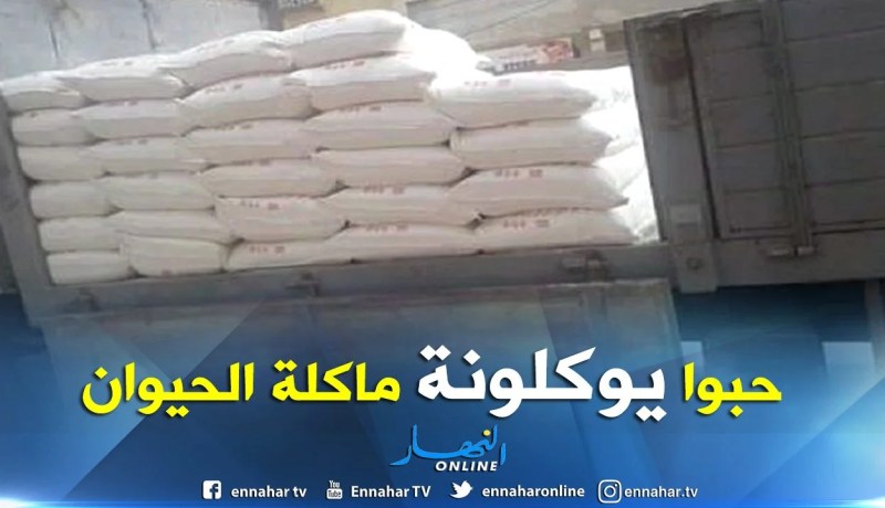 إحباط تمرير أزيد من 101 قنطار “فرينة” مستوردة موجهة للإستهلاك الحيواني بوهران