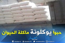 حجز 250 قنطار من الفرينة بوهران