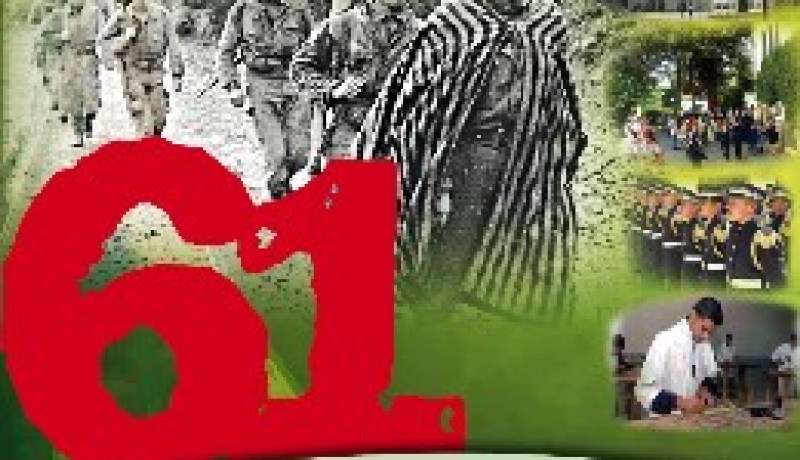 إحياء الذكرى 61 لإندلاع الثورة التحريرية المجيدة