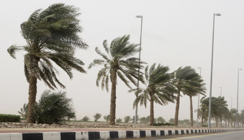 نشرية خاصة تنذر بتواصل الاضطراب الجوي الى غاية صبيحة الثلاثاء