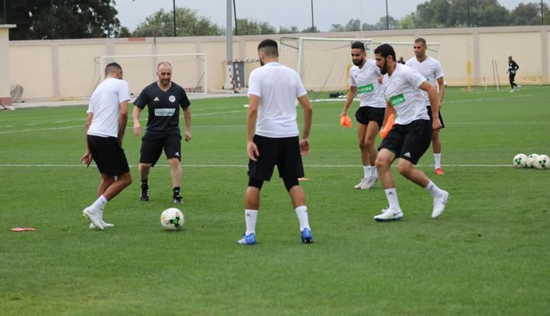 أشبال بلماضي في مُواجهة الإعلام هذا الأربعاء