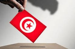 صرصار يرجح أن يكون الإعلان عن النتائج النهائية للانتخابات الرئاسية الاثنين القادم