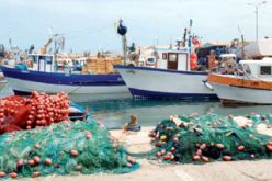 برنامج استثمار استعجالي لصالح قطاع الصيد البحري بالعاصمة