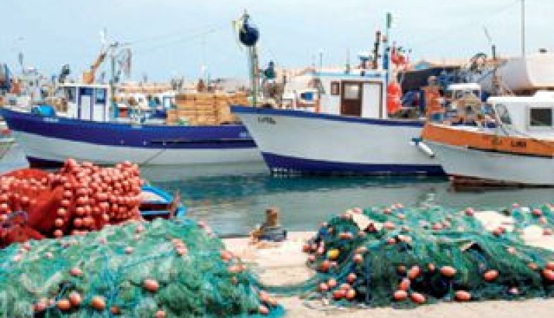 برنامج استثمار استعجالي لصالح قطاع الصيد البحري بالعاصمة