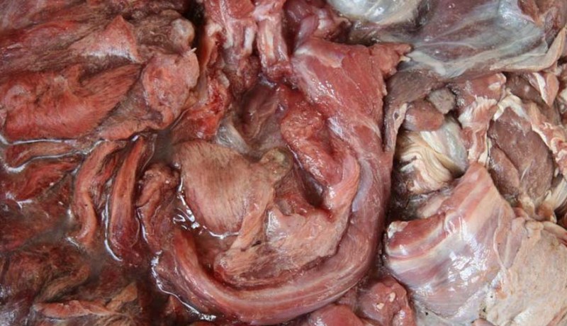 حجز أزيد من 7 قناطير من اللحوم الفاسدة بالمركز الجامعي للنعامة