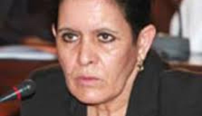 دليلة بوجمعة تنصب اللجنة القطاعية لتهيئة و تنمية المناطق الحدودية