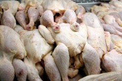 درك البليدة يحبط محاولة لإغراق أسواق العاصمة بـ40 قنطارا من الدجاج الفاسد