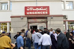 2000 إصابة في المستشفيات بسبب الذباحين الجدد واللهفة