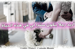 جميلة تناشد ابن الحلال من يعينها على الاستقرار