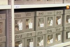 تلفزيون النهار يزور جماجم 36 شهيدا جزائريا بمتحف في باريس