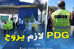 بالصور..عمال ميناء مستغانم يضربون عن العمل ويطالبون برأس المدير العام