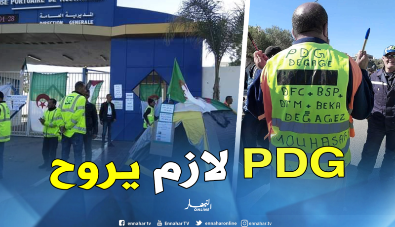 بالصور..عمال ميناء مستغانم يضربون عن العمل ويطالبون برأس المدير العام