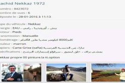 نكـاز للبيـع