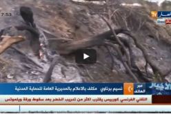 بالفيديو.. مقتل شيخ في حريق مهول بتيزي وزو