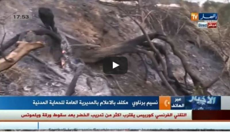 بالفيديو.. مقتل شيخ في حريق مهول بتيزي وزو