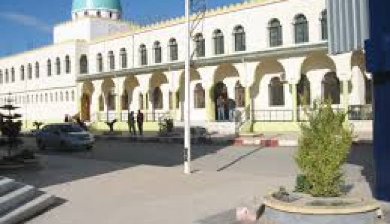 تصنيف 11 موقعا أثريا بالطارف