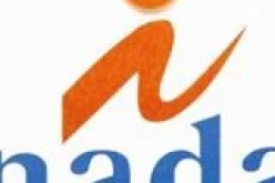 شبكة ندا تطلق برنامجا نموذجيا لتعزيز قدرات المنظمات غير الحكومية