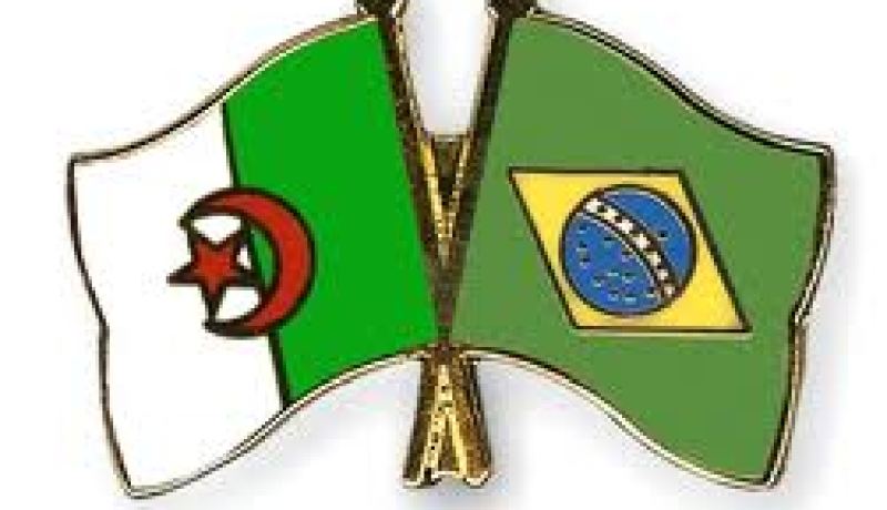 الجزائر تشارك في أشغال المنتدى العالمي للعلوم بالبرازيل