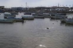 مرفأ لرسو قوارب الصيد البحري قريبا بميناء المرسى في الشلف