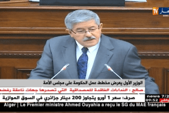 أويحيى : “الجزائر دفعت فاتورة غالية من أجل الأمن والاستقرار “