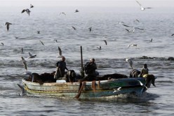 فقدان 12 مصريا إثر غرق مركب صيد في المياه الاقليمية السودانية