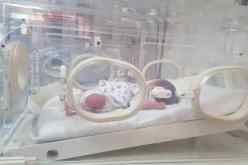 اكتشاف رضيع بدفترين عائليين في مصلحة الولادة مستشفى الإخوة رحماني بالمشرية