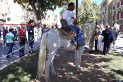 مناضلو الأفلان يكرمون الرئيس بوتفليقة بحصان عربي أصيل