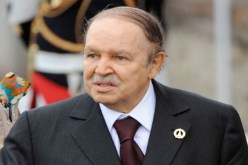 الرئيس بوتفليقة يكلف الحكومة بتعجيل ترقية الطاقات المتجددة