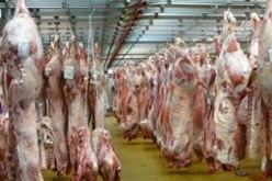 انتشار الذبح غير القانوني للماشية بسبب نقص في المذابح بالمسيلة