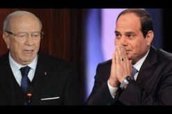 بالفيديو خطأ من السيسي  يتسبب فى سب الرئيس التونسي
